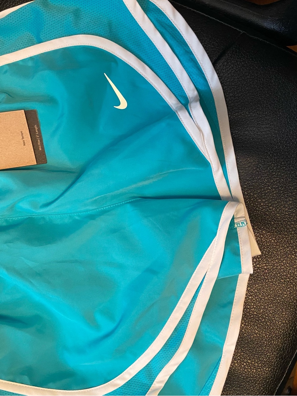 Nike Teal and White Athletic Shorts